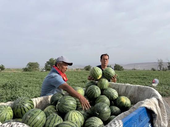 邹城吃瓜三件事视频,揭秘当地独特美食文化