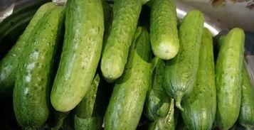 美七在莱西吃瓜视频大全,揭秘网红美食背后的故事