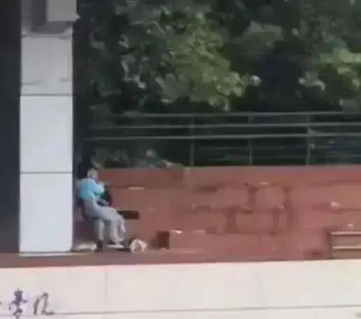 吃瓜老头火视频,揭秘网络红人的崛起之路