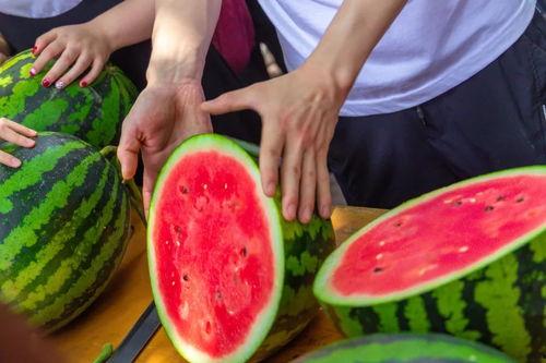 丽水今日吃瓜事件视频,一场网络热议的幕后真相揭秘