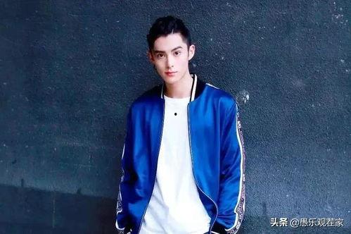 吃瓜少女王鹤棣是谁啊视频,从网红到演员的蜕变之路