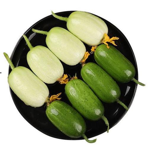 大角瓜怎么吃才好吃视频,视频教你如何烹饪出最佳口感