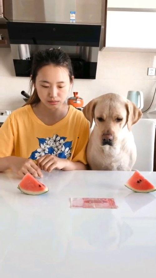 西瓜视频吃瓜小哥,揭秘网络红人的幕后故事