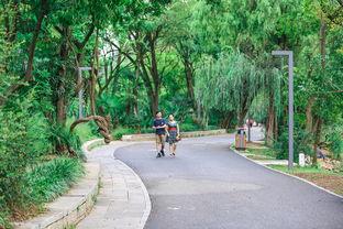 贵阳职校长椅吃瓜视频,校园一幕引发热议