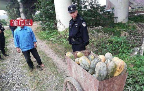 温县网红吃瓜事件视频最新,一场网络狂欢背后的真相揭秘