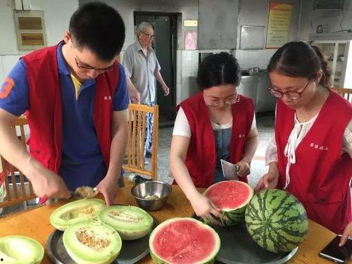 爷爷吃瓜视频全集,趣味横生的欢乐时光大盘点