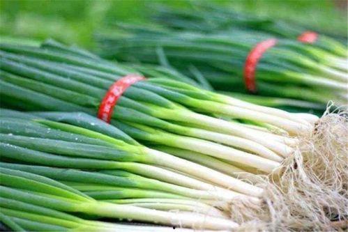 宝宝吃百掌瓜好吗视频讲解,宝宝辅食新选择